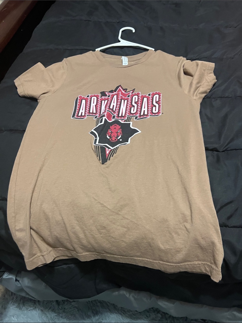Arkansas Graphic Men’s T‑Shirt in Brown